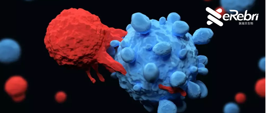 年終大盤點(diǎn)！醫(yī)學(xué)2022年十大最具影響力的科研事件來啦